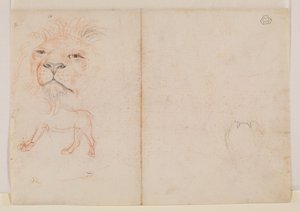 Hlava lva, verso, 18. nebo 19. století od George Stubbs