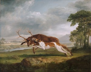 Pes honící jelena od George Stubbs
