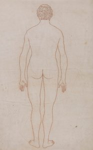Lidské tělo, pohled zezadu (nákres pro tabulku VII) od George Stubbs