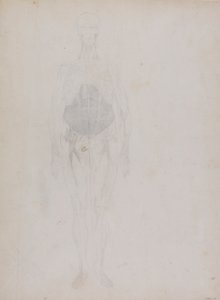 Lidská postava, pohled zepředu (z velké části v obrysu) od George Stubbs