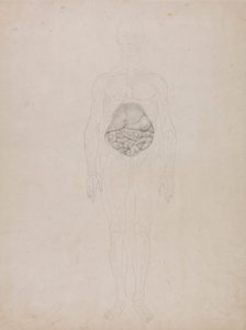 Lidská postava, pohled zepředu (nákres) od George Stubbs