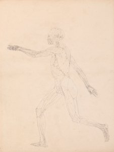 Lidská postava, boční pohled (pro klíčovou postavu k tabulce XIII) od George Stubbs
