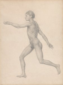 Lidská postava, boční pohled, nerozřezaný (Dokončená studie pro tabulku VIII) od George Stubbs