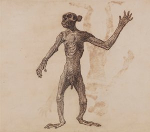 Opice Stojící, Pohled Zepředu od George Stubbs