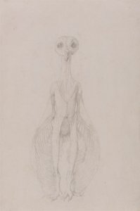 Sova Stojící, Pohled Zepředu od George Stubbs