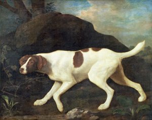 Phillis, Pointer lorda Clermonta od George Stubbs