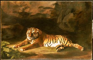 Portrét královského tygra, c.1770