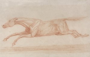 Studie dostihového koně v akci: cval doleva (červená křída na lesklém papíře) od George Stubbs