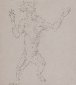 Studie tygra, stojícího v lidském držení těla, z komparativní anatomické expozice stavby lidského těla s tygrem a drůbeží, 1795-1806 (grafit na tenkém tkaném papíru) od George Stubbs