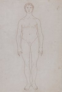 Studie lidské postavy, pohled zepředu (nákres pro tabulku VI) od George Stubbs
