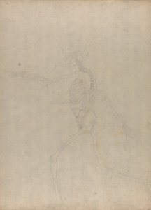 Studie lidské postavy, laterální pohled, z komparativní anatomické expozice stavby lidského těla se strukturou tygra a slepice, 1795-1806 (grafit na silném tkaném papíru) od George Stubbs