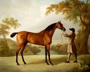 Tristram Shandy, závodní kůň držený ženichem v rozsáhlé krajině, kolem roku 1760 od George Stubbs