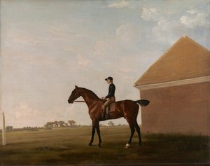 Turf s žokejem v Newmarketu od George Stubbs