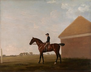 Turf s Jockeyem v Newmarketu, ca. 1766. od George Stubbs