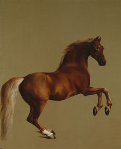 Whistlejacket od George Stubbs