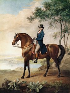Warren Hastings Esq. na jeho Arabském koni, podle obrazu George Stubbse