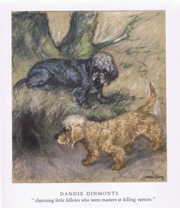 Dandie Dimonts (barevná litografie)