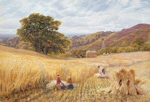 Doba sklizně poblíž Holmbury Hill, Surrey, 1865 (wc a barva karoserie na papíře)