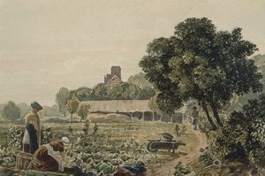 Market Garden v Chelsea od George the Younger Barret