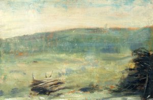 Krajina v Saint-Ouen, 1878-79 (olej na dřevě) od Georges Seurat