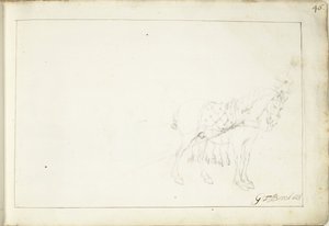 Kůň, vpravo od Gerard ter Borch (II) (signed by artist)