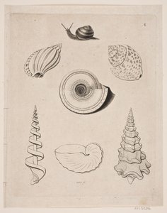 Tabule s šneky od Gerhard Ludvig Lahde