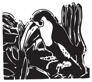Toucan od Gerhardt Isringhaus
