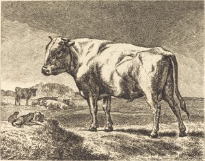 Kráva od German 19th Century
