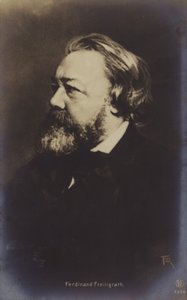 Ferdinand Freiligrath (1810-1876), německý básník (čb fotografie) od German Photographer