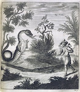 Strašný drak, kolem 1660 od German School