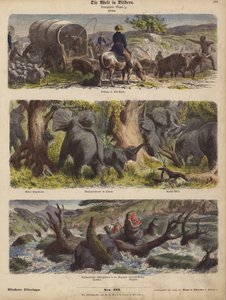 Afrika (barevná rytina) od German School