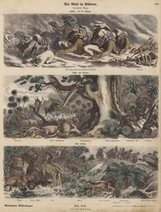 Afrika: karavana zachycená v písečné bouři na Sahaře; pobřeží Guineje; Jižní Afrika (barevná rytina) od German School