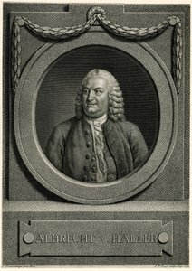 Albert von Haller od German School