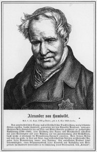 Alexander von Humboldt (rytina) od German School