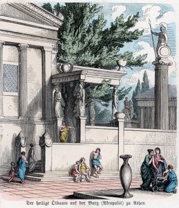 Starověké dějiny. Řecko. Posvátný olivovník na Akropoli... (rytina) od German School