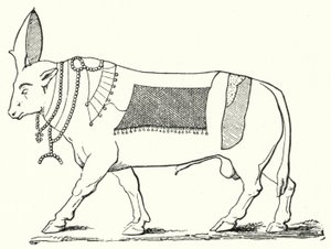 Apis, posvátný býk starověkého Egypta (rytina) od German School