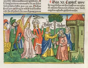 Apokryfy: Tobiáš vrací zrak svému otci Tobitsovi žlučí ryby z norimberské bible (Biblia Sacra Germanaica) (barevný dřevoryt)