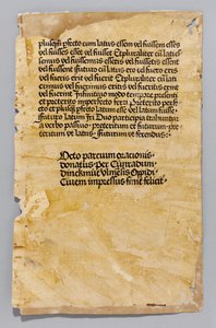 Ars Minor od Aelius Donatus, tisk Konrad Dinckmut, Ulm, c.1476-80 (knihovník) od German School