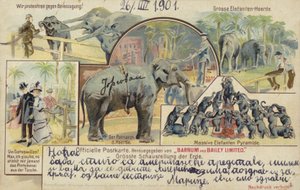Cirkus Barnum a Bailey (barevná litografie) od German School