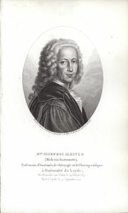 Bernhard Siegfried Albinus od German School