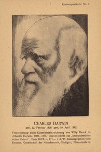 Charles Darwin (1809-1882), anglický přírodovědec (litografie) od German School