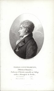 Charles Louis Wildenow od German School