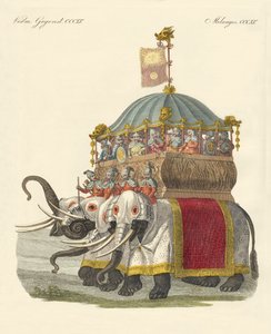 Sloní hrad velkého chána Kublaje od German School