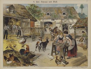 Farma (barevné lito) od German School