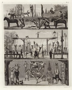 Gymnastika a akrobacie (rytina) od German School