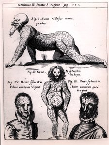 Chlupáč a divoký muž, ilustrace z Physica Curiosa od Gaspara Schotta (1608-66) od German School