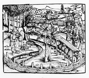 Šťastní manželé pasoucí včely, ilustrace z Georgiků od Virgilia, kniha IV, z vydání Sebastiana Brantsa (1457-1521), vydáno 1502 od German School