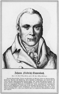 Johann Friedrich Blumenbach (rytina) od German School