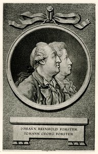 Johann Georg Forster od German School