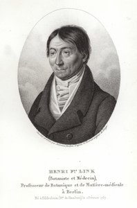 Johann Heinrich Friedrich Link od German School